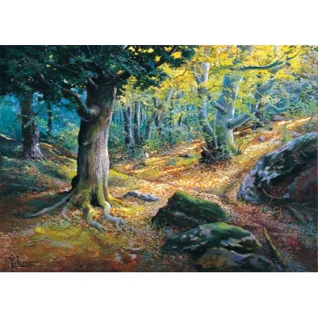 A Parth In The Woods - 51X71cm