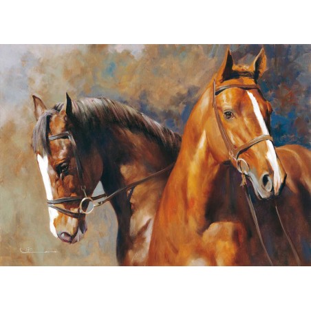 We Sons Of The Wind - 51X71cm