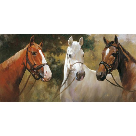 We Are The Champions -...