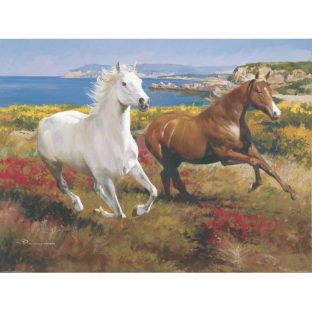 Free As The Wind - 60X80cm