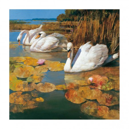 The Swans Family II - 70X70cm